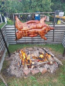 Sele na gril - od Toma Jihlava-Vysočina-ČR - 1