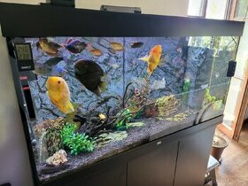 Prodám téměř nové akvárium JUWEL 350l - 1