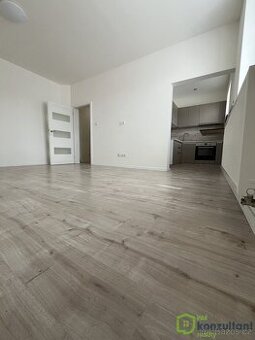 Pronájem bytu 1+1, 35 m2 - Ostrava - Vítkovice, ev.č. 00795