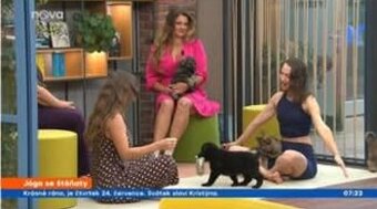 Štěňátka z televize