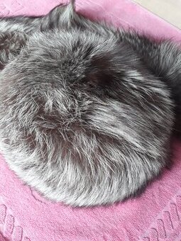 Kožešinové čepice a límce