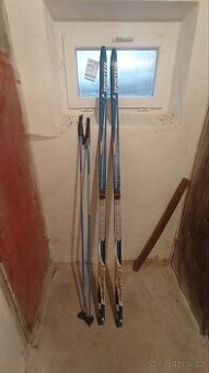 Prodám běžky sporten favorit 200cm.