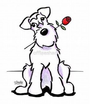 Salon Bernadetta...pro psy a další mazlíčky...