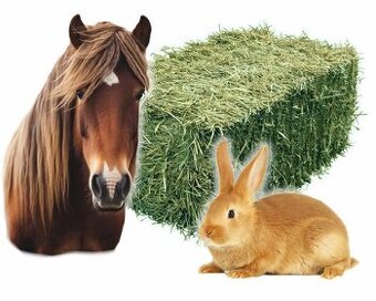 Seno malé balíky  1000 sztuk    ZIELONE I PACHNĄCE