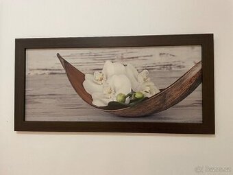 Obraz 80x40cm