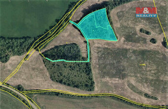 Prodej louky, 9839 m², Mašťov-Dobřenec