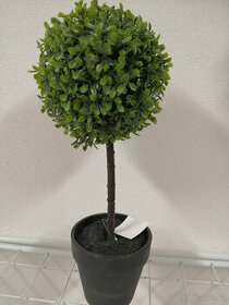 Umělý buxus