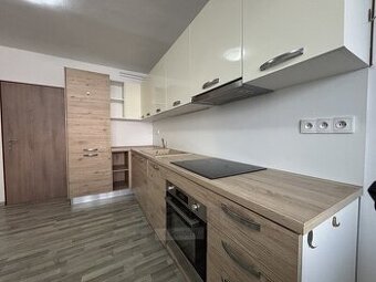 Pronájem bytu 1+1 41m², České Budějovice