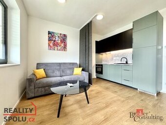 Pronájem, byty/1+kk, 40 m2, Kotkova 3937/7, 66902 Znojmo, Zn