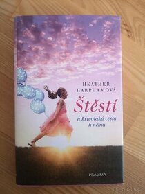 Štěstí a křivolaká cesta k němu - 1