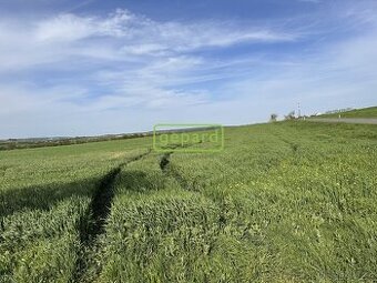 Pozemek - orná půda o výměře 5446 m2