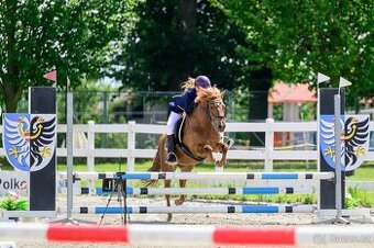 9ti-letý sportovní pony valášek