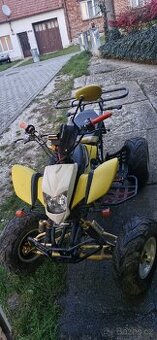 Bashan 250