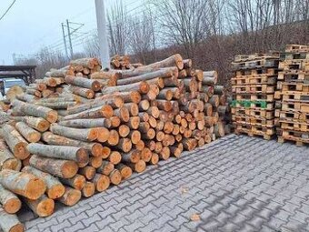 Palivové dřevo suche