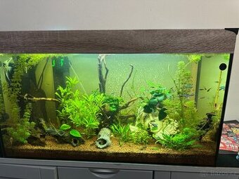 Kompletní 120l akvárium – ryby, rostliny, LED, příslušenství