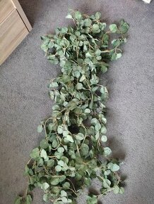 Girlanda eukalyptus 12 kusů - 1