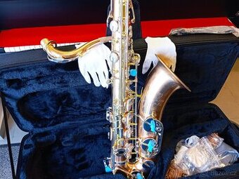 Saxofon Draco (Tenor) možný dovoz - 1