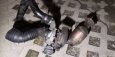 turbo audi a4 V6 2.5 tdi - 1