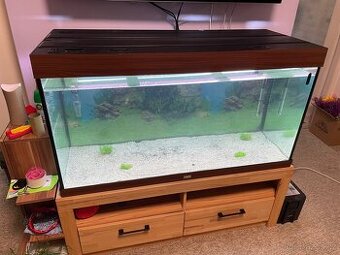 Juwel Rio aquarium 300 +filtrace+topitko