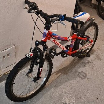 Kellys Lumi 50 20"