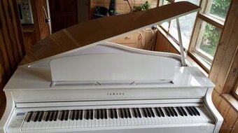 KŘÍDLO YAMAHA CLP-565GP