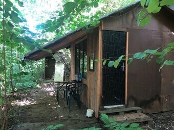 🌲 Prodej lesa se 2 chatami – Vykyřovice u Šumperka