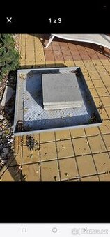 Stpjan na slunečník