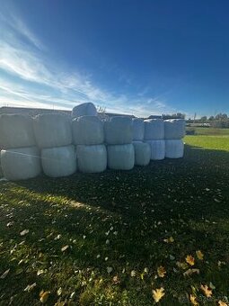 jetelotravní senáž