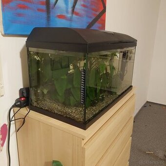 Akvárium, kompletní krásné