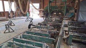 Kmenová pásová pila