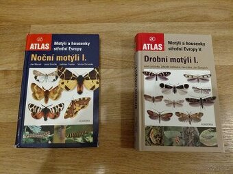 Noční motýli I, Drobní motýli I.