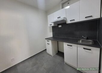 Pronájem pokoje 13 m and sup2; v bytě 4+1, Praha 6  Břevnov,