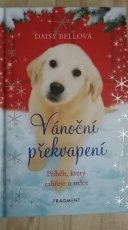 Vánočná překvapení - Daisy Bellová