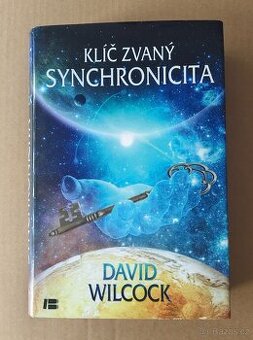 David Wilcock - Klíč zvaný synchronicita