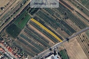 Prodej vinice v k.ú. Šardice