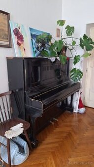Daruji za odvoz