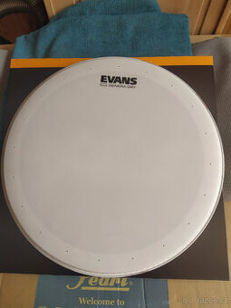 Evans 14" Genera Dry Coated Snare
