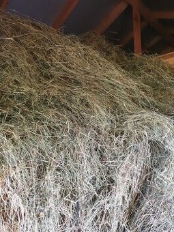 Seno za odvoz a 1500kč pro tebe