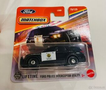 Ford Police