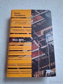 Malý život  - Hanya Yanagihara