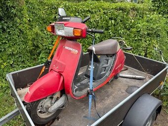 Honda Lead - 1