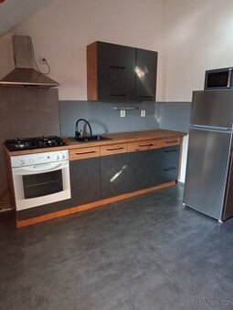 Pronájem bytu 1+kk, 34m v RD , Záryby -Martinov