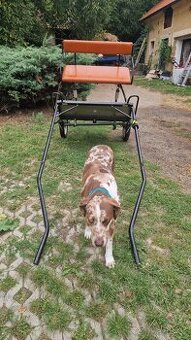 Prodám sulku za koně/ pony