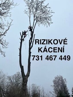 Rizikové kácení, frézování pařezů, plošina