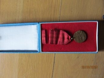 Vyznamenání a odznaky, přívěšek fotb.bot