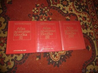 Anatomie člověka