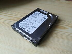 Disk SEAGATE Barracuda 40GB 3,5" SATA