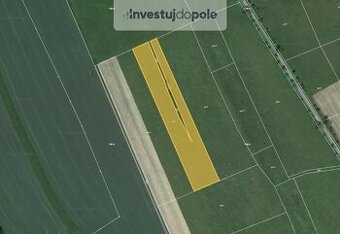 Prodej pole 8 023 m², Police nad Metují - Velká Ledhuje - 1