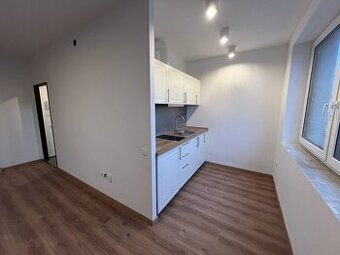 Kompletně zrekonstruovaný 1+kk, 32m2, balkon, Pardubice - Vi