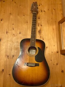 Dvanáctistrunná kytara